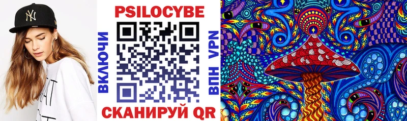 закладка  Сельцо  Галлюциногенные грибы MAGIC MUSHROOMS 
